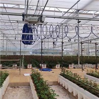 Kasvuhoone niisutusbuum