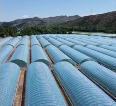 Põllumajanduse jaoks mõeldud plastkilest kasvuhoone täisautomaatika ja keskkonnakontrolli anduritega